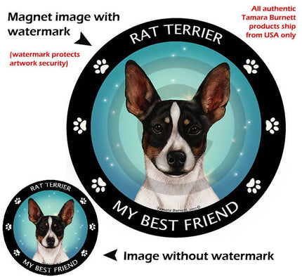 Rat Terrier Tri Cropped Mt Best Friend Circular Magnet