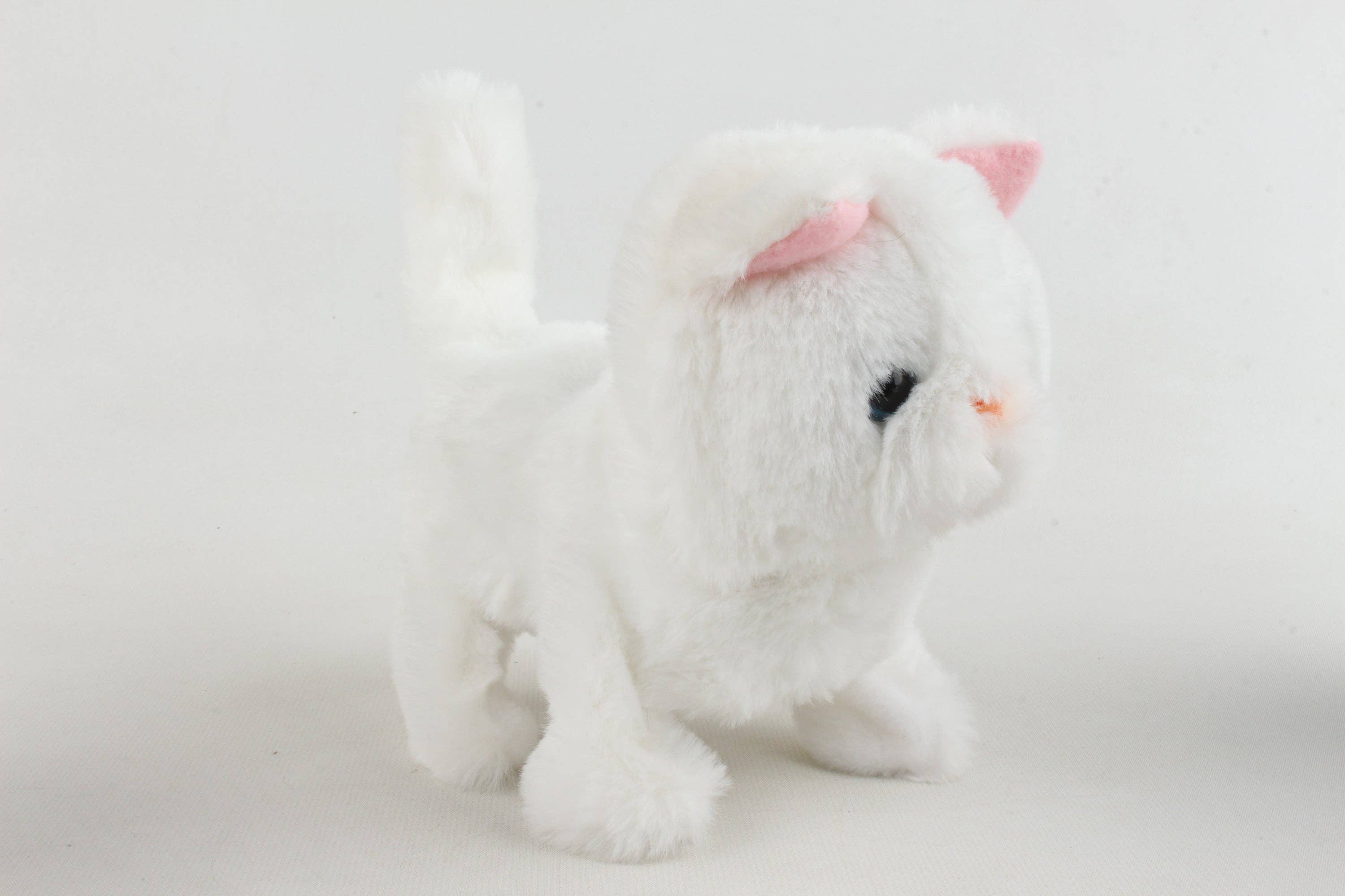 CASPER the Persian Walking Cat Toy