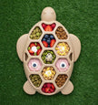 Dog Toy Turtle Durable Nylon Chew and Enrichment Toy