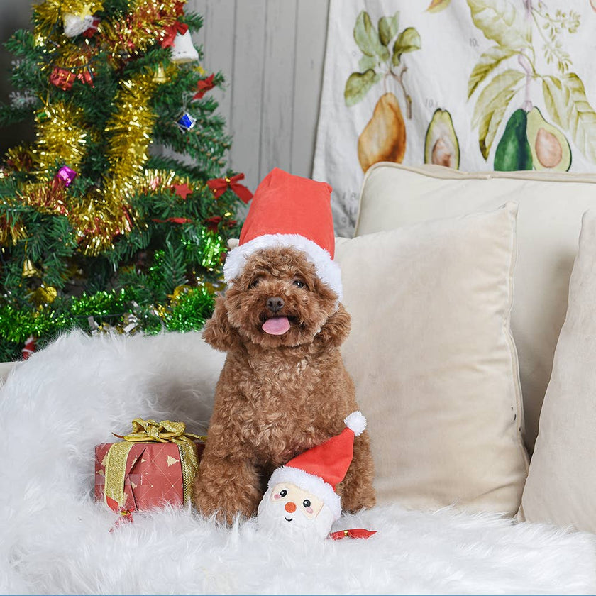 Dog Toy Santa Ball Christmas Happy Woofmas Ball Toy
