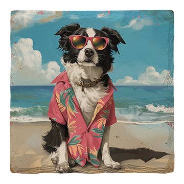 Border Collie Beach Dog | Drink Coaster