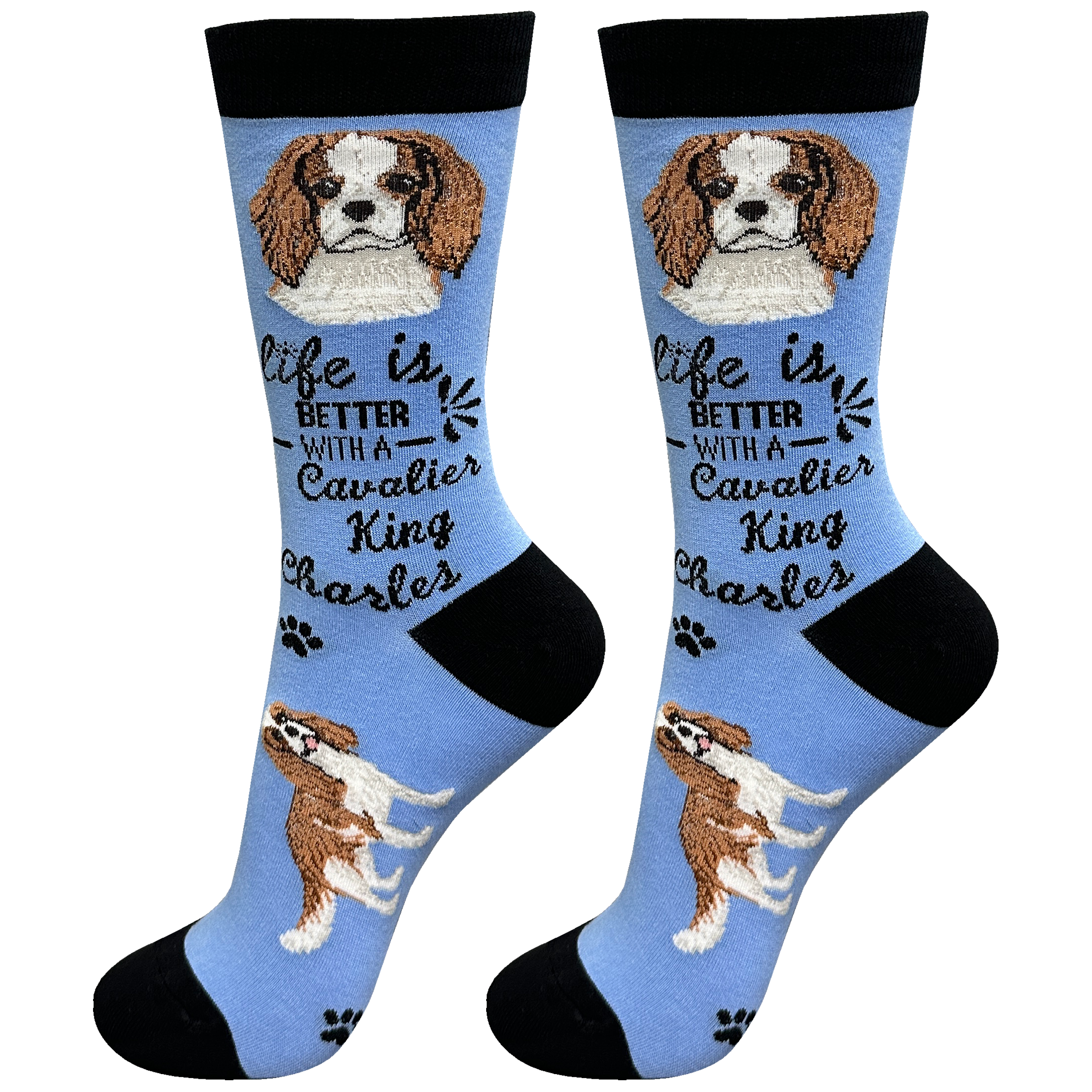 Cavalier King Charles Dog Socks Unisex