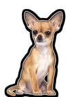 Chihuahua  - Vinyl Sticker