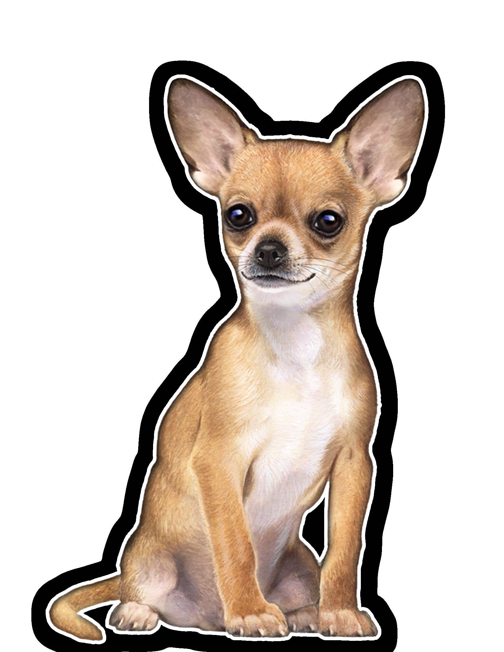 Chihuahua  - Vinyl Sticker