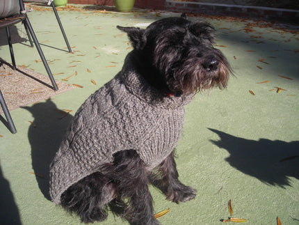 Gray Cable Knit Wool Dog Pet Sweater