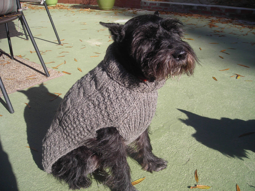 Gray Cable Knit Wool Dog Pet Sweater