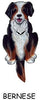 Bernese Mt. Dog Wagging Tail Clock