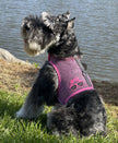 Cool Mesh Dog Harness - Sunglasses Pink & Black Polka Dot