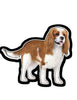 Cavalier King  - Vinyl Sticker