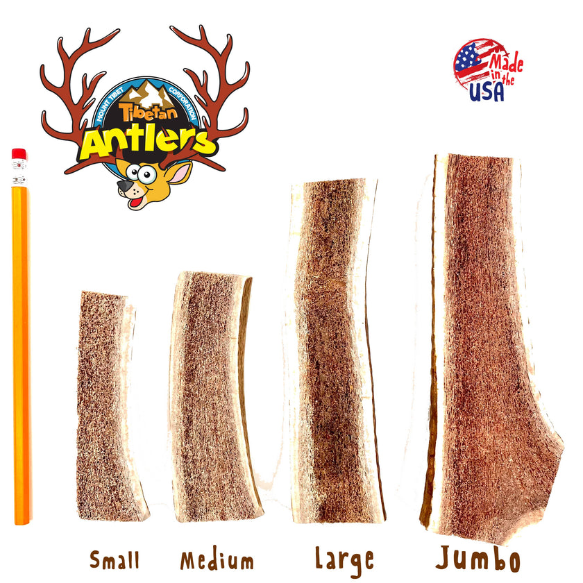 Tibetan Split Antler-Large
