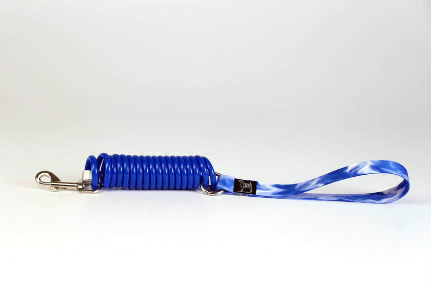 Unique Coil Pet Leash