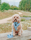 Dog Waste Bag Holder Wizard of Paws With Clasp