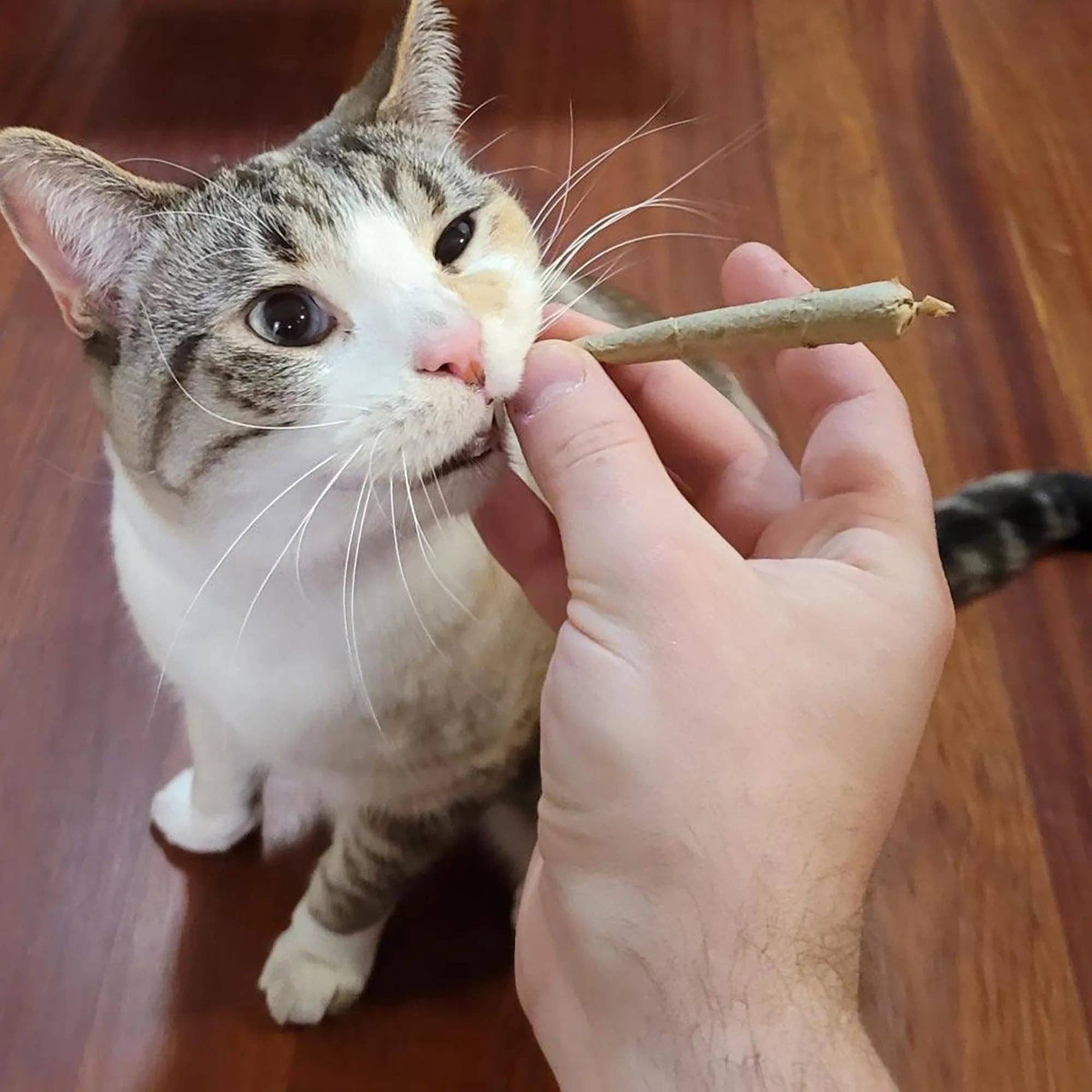 Meowijuana® Catnibas® King Size Rollies