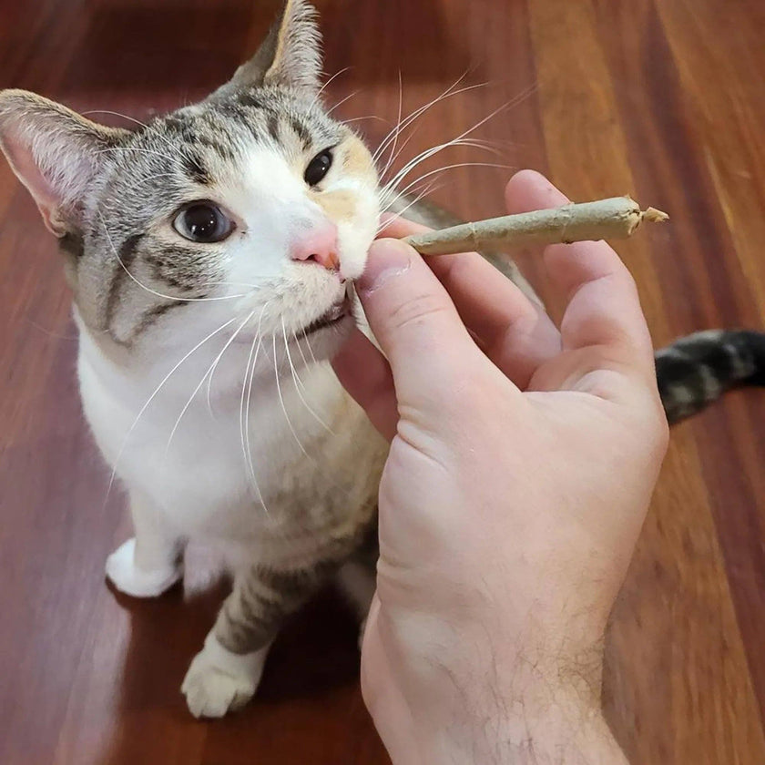 Meowijuana® Catnibas® King Size Rollies