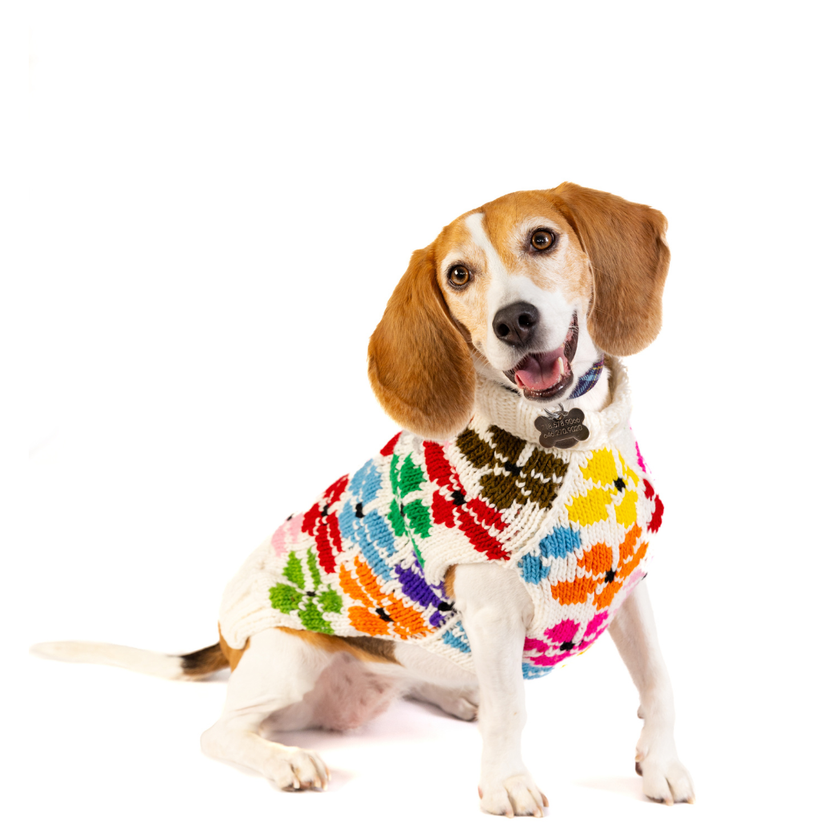 Bloom Dog & Cat Pet Sweater