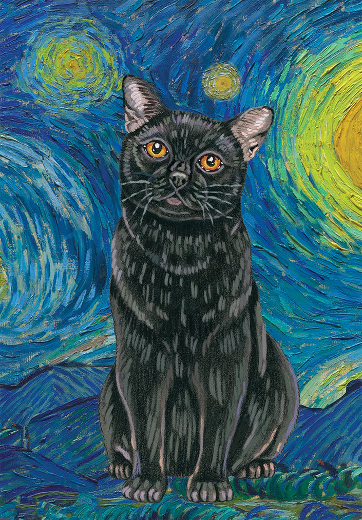 Black Cat Starry Night Large House Flag