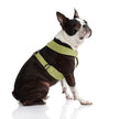 Comfort X Harness Dual Snap Dog Harness