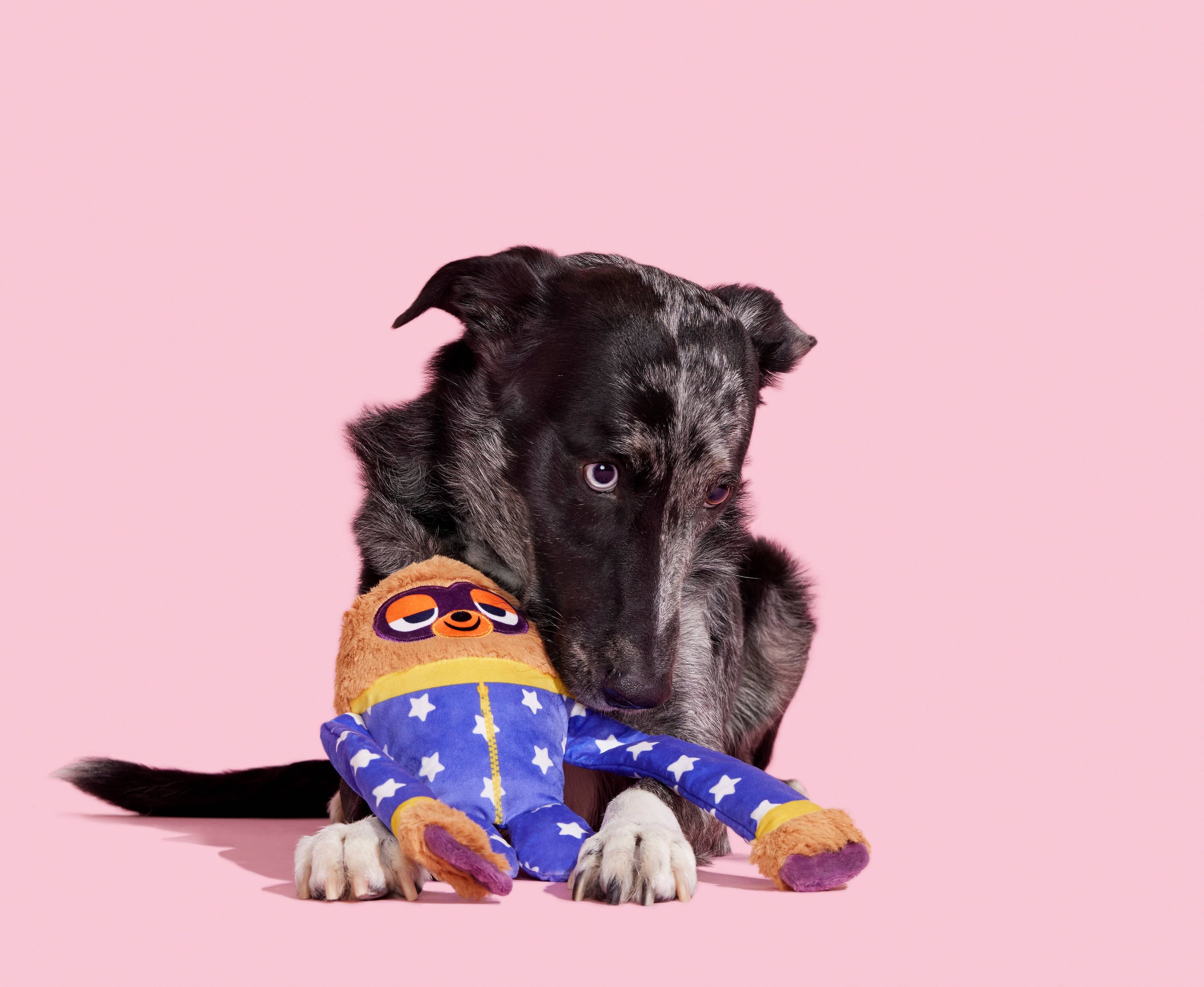 BARK Slow Jams Dan Plush Dog Toy