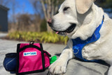 Pack-N-Go Bag