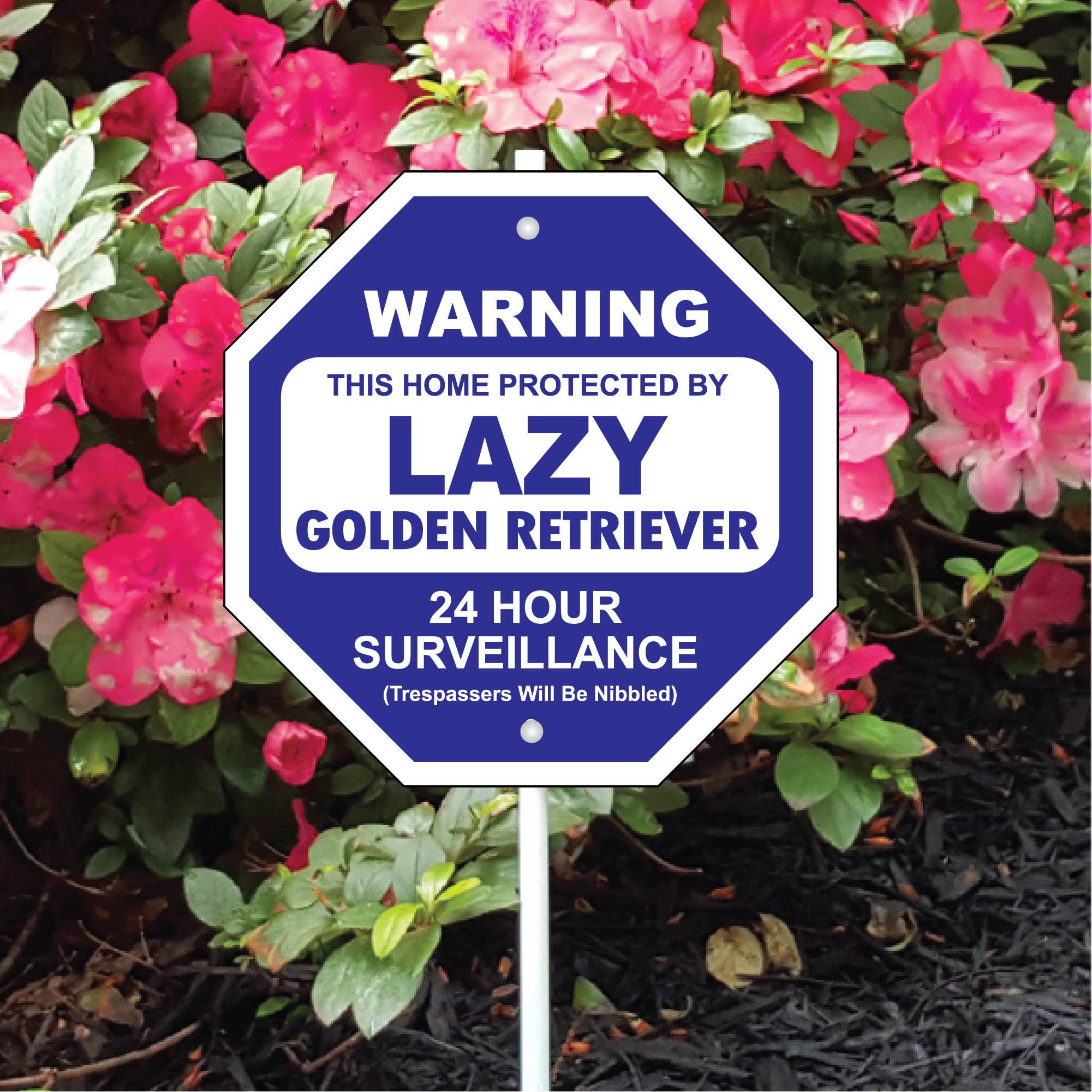 Lazy Golden Retreiver Garden Security Sign