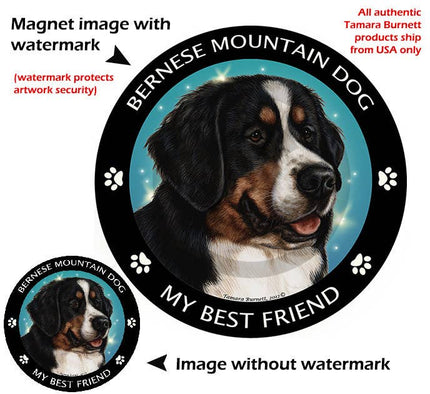 Bernese Mountain Dog My Best Friend Circular Magnet