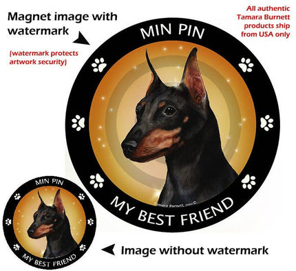 Min Pin Black & Tan Cropped My Best Friend Circular Magnet