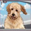 Goldendoodle - Dogs on the Move Window Decal