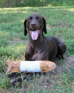 Dog Toy Trout Natural Leather Trout Rope Tug Toy
