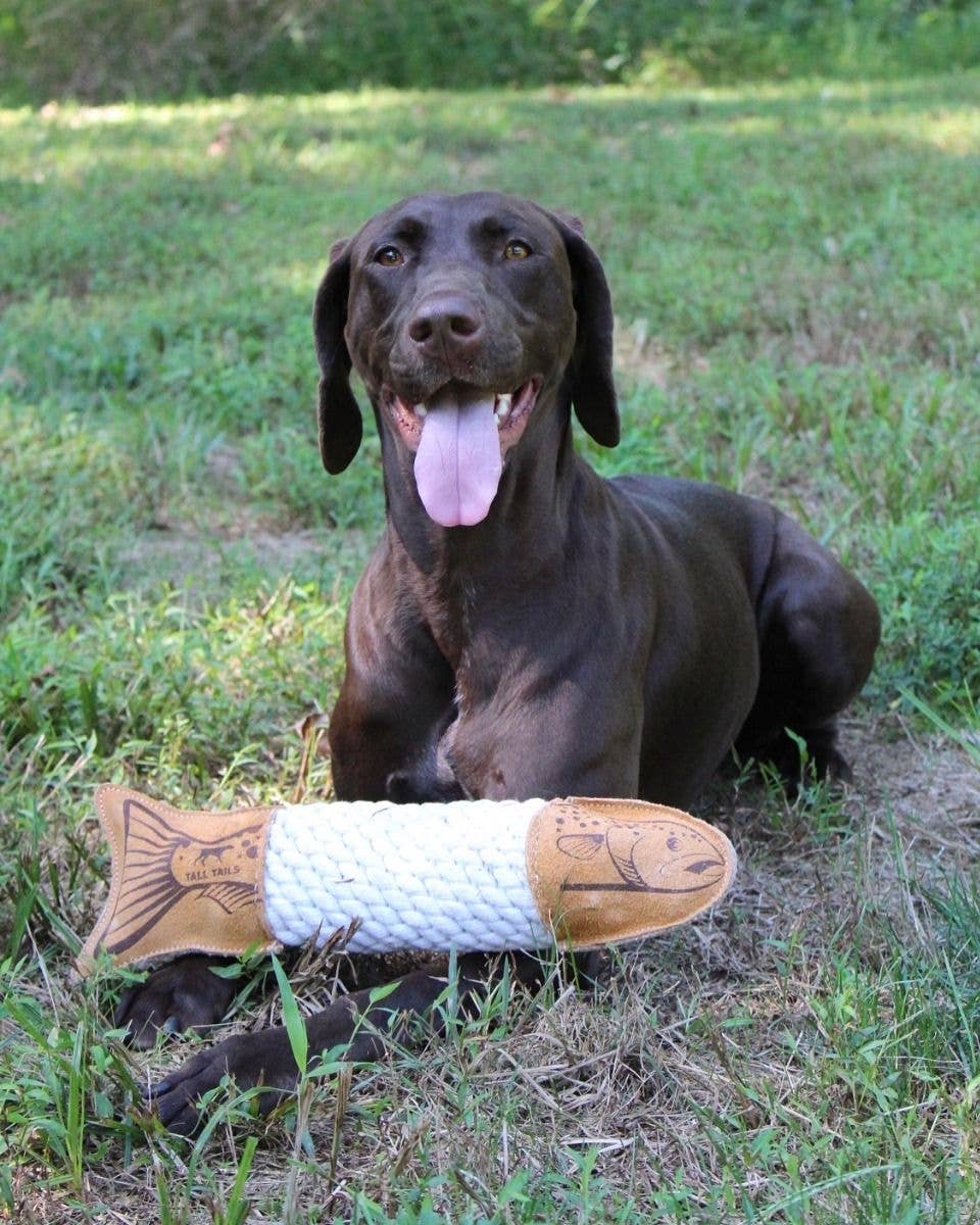 Dog Toy Trout Natural Leather Trout Rope Tug Toy