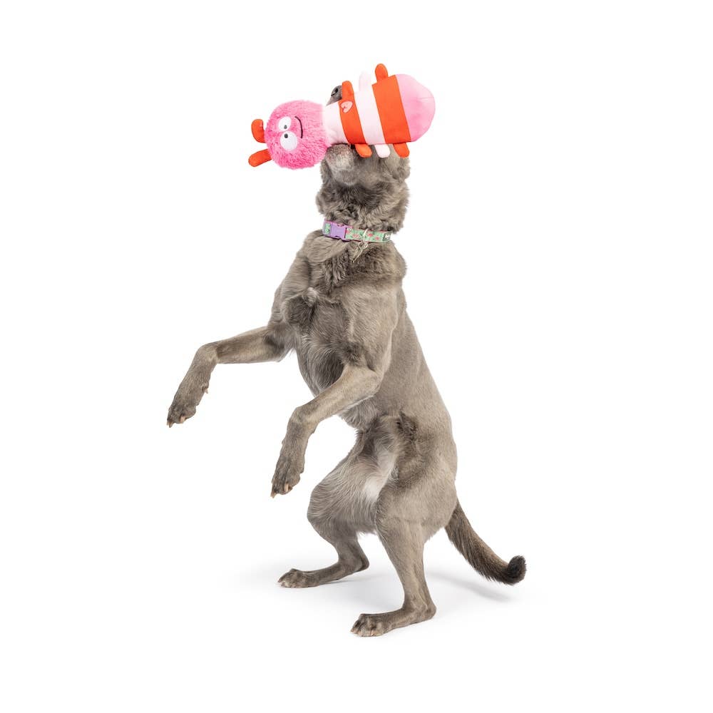 Fetchies® Love Bug Dog Toy