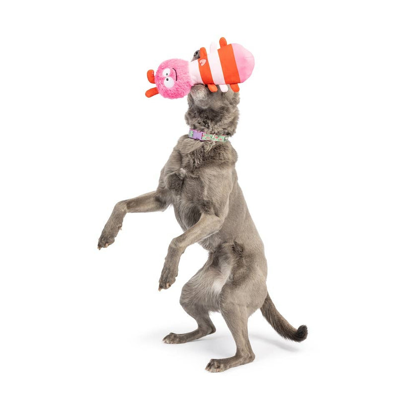 Fetchies® Love Bug Dog Toy