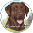Labrador, Chocolate Car Coaster
