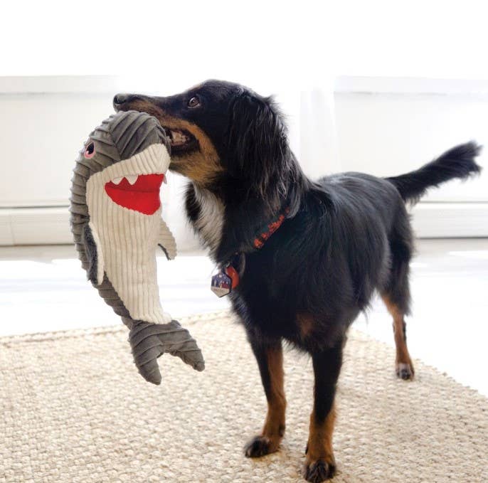 Dog Toy Shark KONG® Cuteseas® Rufflez Shark Dog Plush Toy Medium/Large