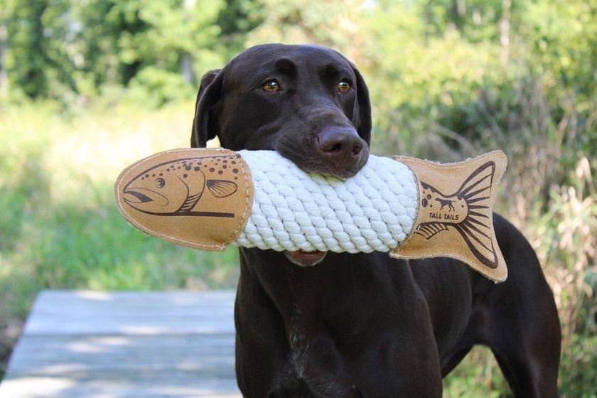 Dog Toy Trout Natural Leather Trout Rope Tug Toy