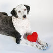 Valentine's Plush Red Heart Valentine's Day Dog Toy