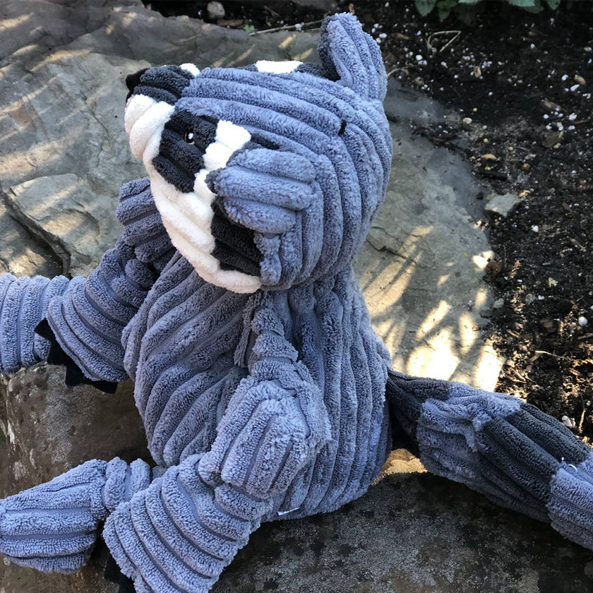 Reggie Raccoon Knottie® Plush Dog Toy