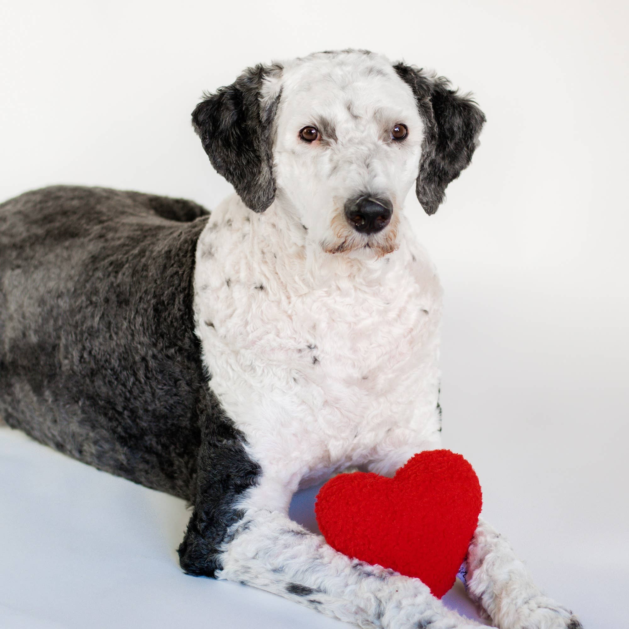 Valentine's Plush Red Heart Valentine's Day Dog Toy