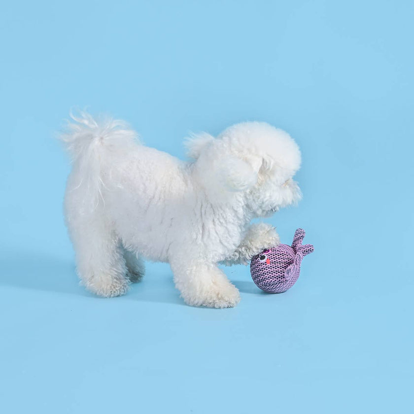 Dog Toy Octopus Floating Ocean Pals Ball Toy
