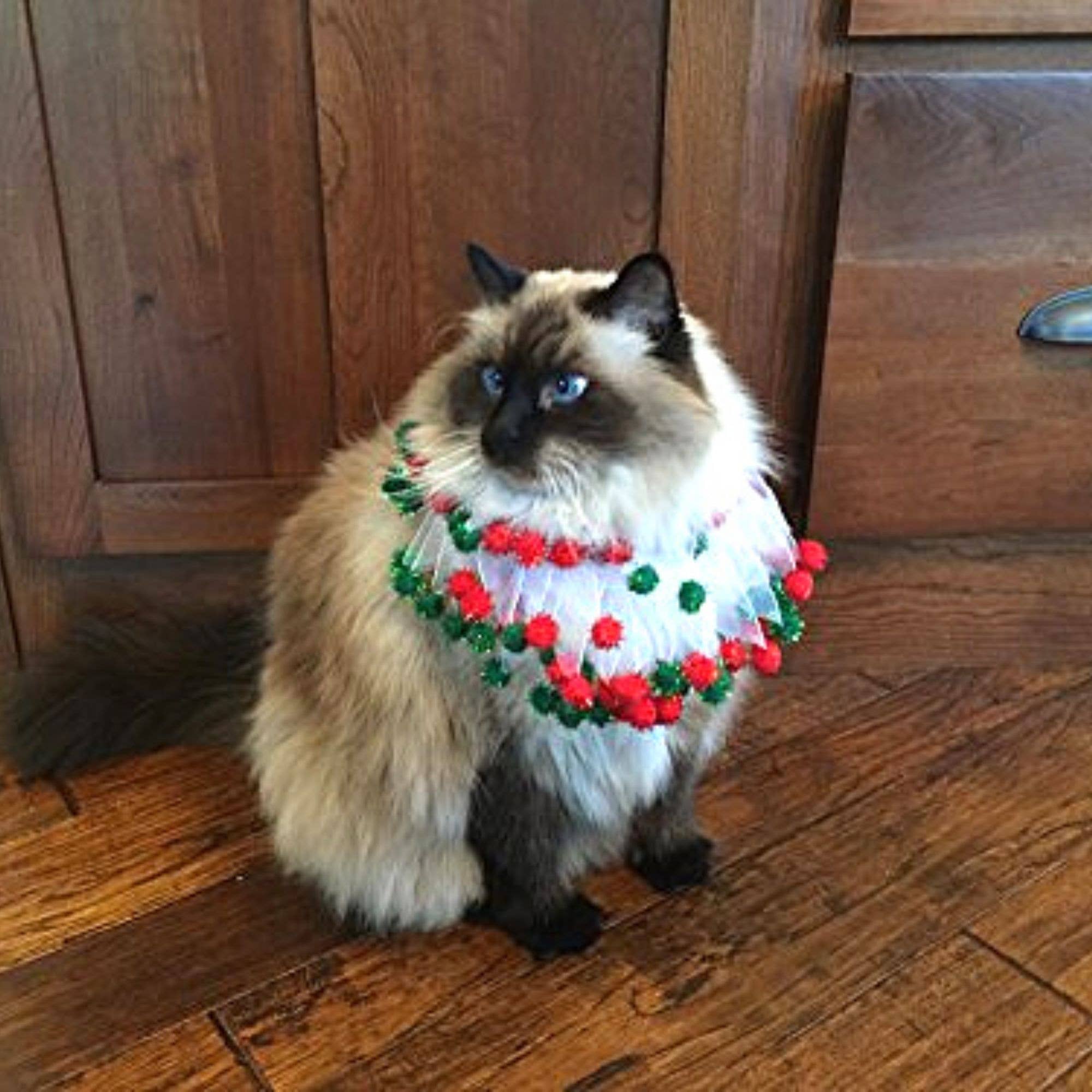 Christmas Pom Pom Decorative Dog Collar