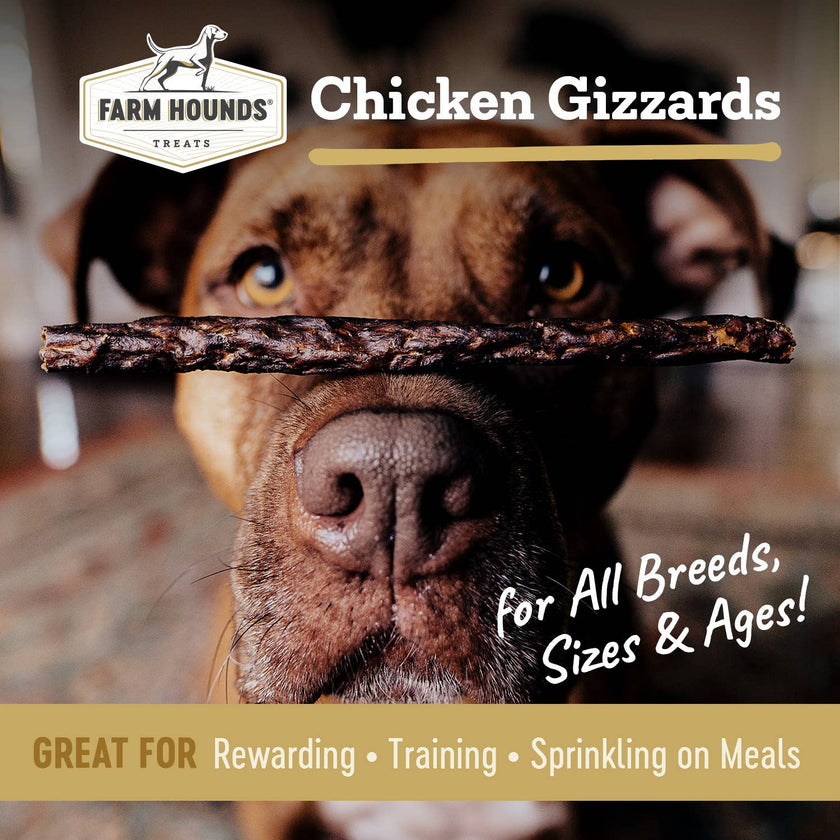 Chicken Gizzard - All-Natural Dog Treats - 4oz