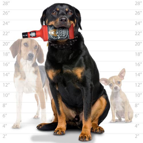 Silly Squeaker Liquor Bottle Bad Spaniels, Squeaky Dog Toy