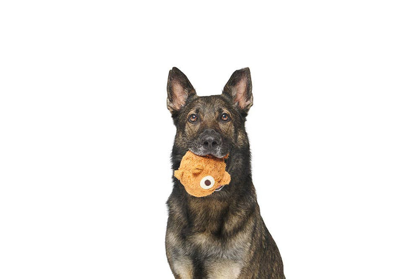 BARK Tinkles The Gerbil Dog Toy