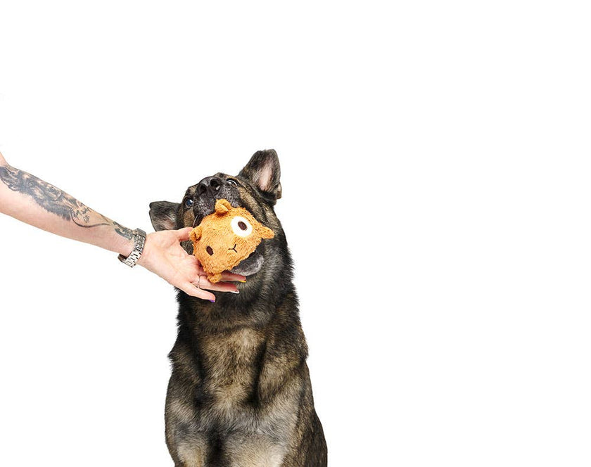 BARK Tinkles The Gerbil Dog Toy