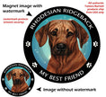 Rhodesian Ridgeback My Best Friend Circular Magnet