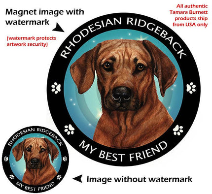 Rhodesian Ridgeback My Best Friend Circular Magnet