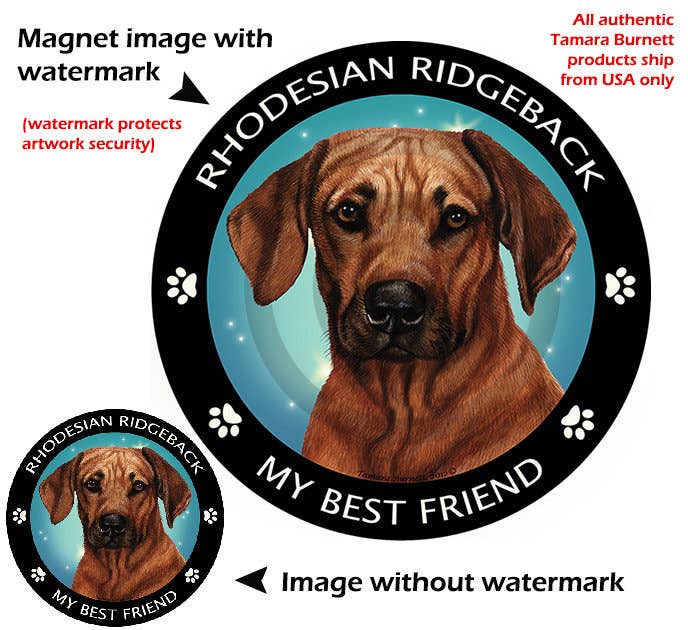 Rhodesian Ridgeback My Best Friend Circular Magnet