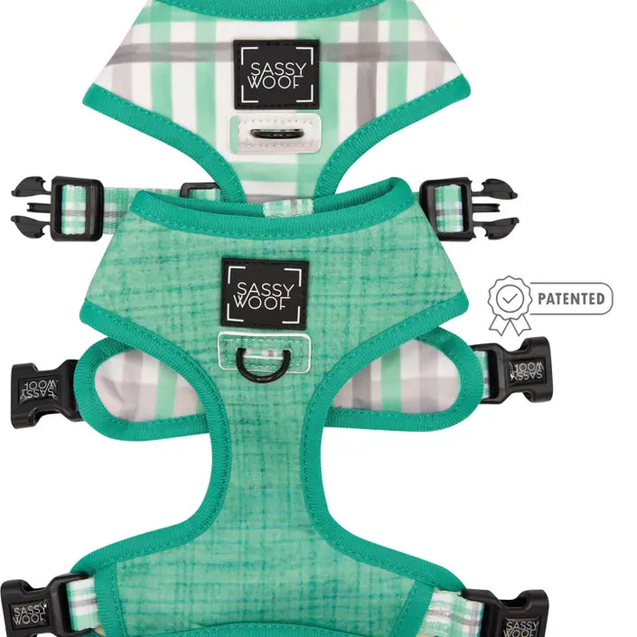 Adjustable Dog Harness - Wag Your Teal (Reversible) Small