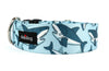 Sharks Blue Dog Collar