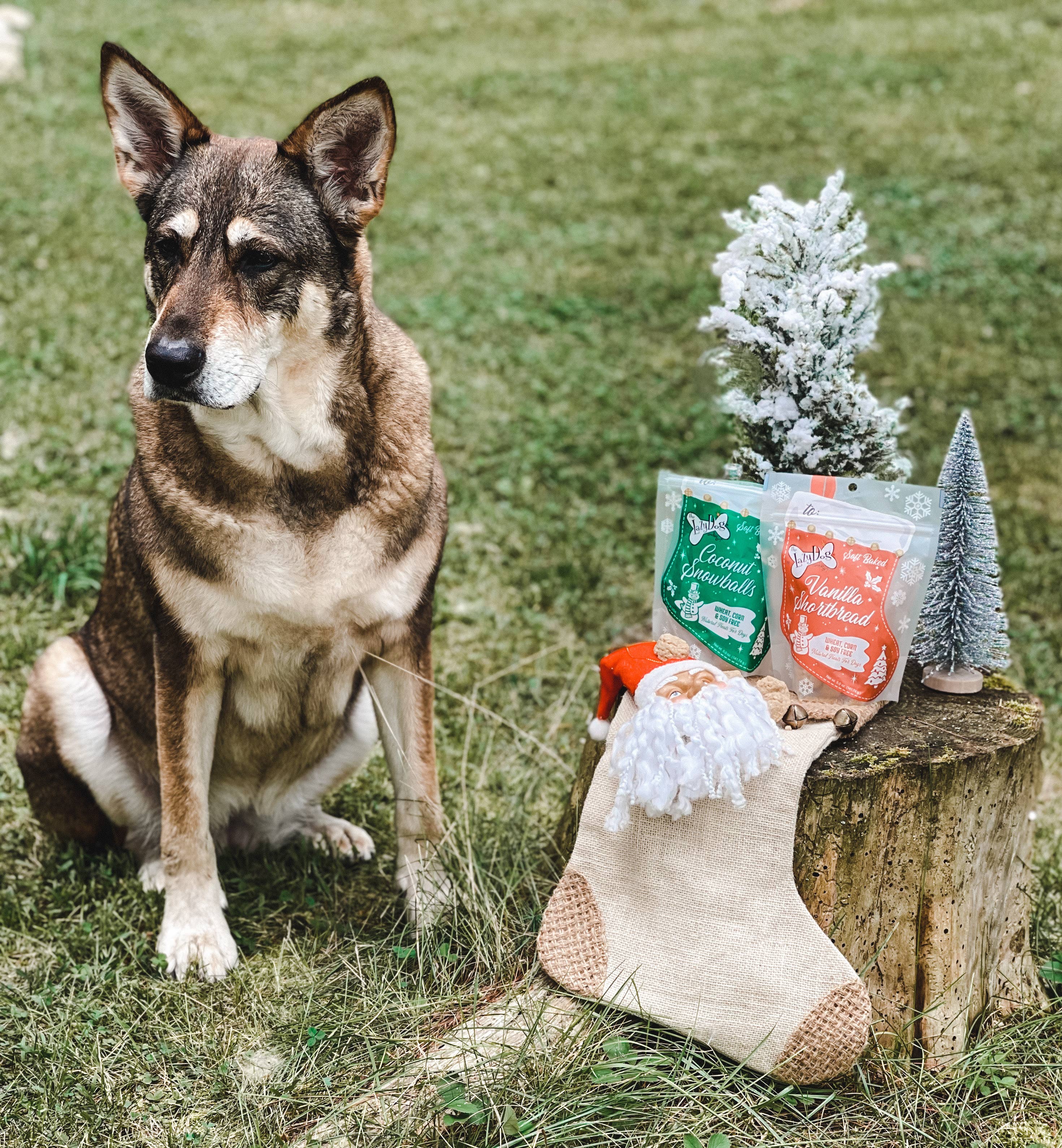 Lazy Dog Vanilla Shortbread Stocking