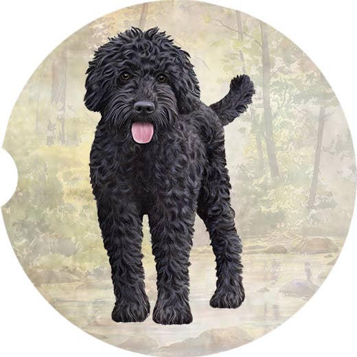 Labradoodle, Black Car Coaster
